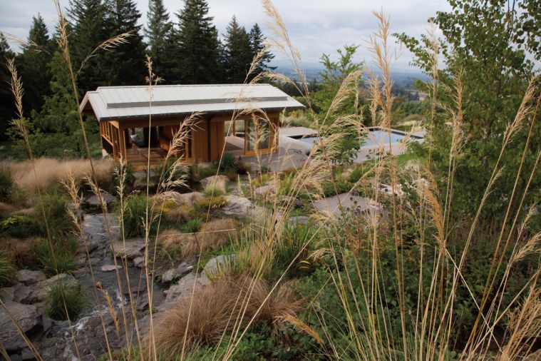 Grasses provide striking architectural lines, movement, and rich color in the late summer garden. Seed heads make food for birds, while larger clumps provide excellent habitat and nesting. The McCullochs property attracts an enormous range of birds, including huge flocks of goldfinch that bathe in the water feature, hummingbirds feasting on nectar-rich flowers, and swallows that raise their young on the land each year. Creating space for wildlife is a guiding principle for Maryellen. “We want to show ourselves and others that we can coexist in a positive way with nature. If we don’t have a positive interaction with nature, nature will not be here for us.”