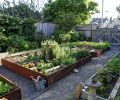 Jay built the garden beds from steel 18 years ago; they have held up well in the rugged ocean climate.