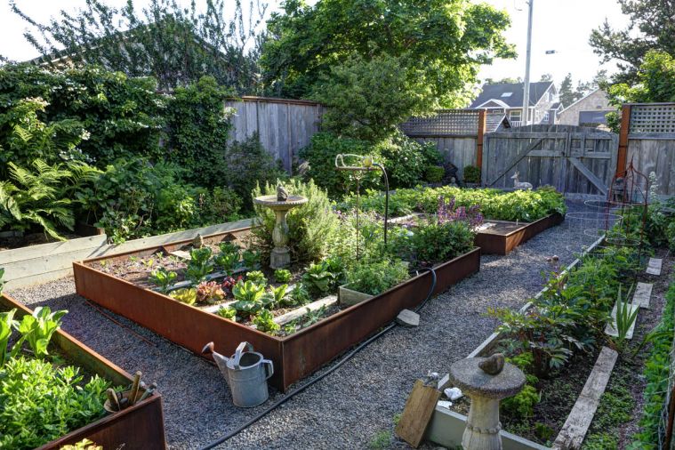 Jay built the garden beds from steel 18 years ago; they have held up well in the rugged ocean climate.