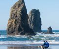 The iconic basalt sea stacks that line Cannon Beach are rich with marine birds and intertidal creatures.