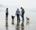 There are four miles of walkable beaches rich with marine life. The best time to go is at low tide. After you’ve taken the family to search for must-stay-there starfish and anemones, stroll along Cannon Beach’s main street, Hemlock, for a treasure to take home.