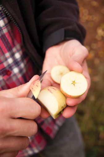 Wandering Aengus sources apples from a range of orchards, including their own small orchard in Salem. Their orchard stock comes from cuttings made from a historic apple orchard in Washington County, at that time one of the only repositories of traditional cider apple genetic material in our region.