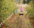 At the cidery, any employee can use a small system to create an experimental batch. If it turns out well, Wandering Aengus might ramp up production, transforming an experiment into a seasonal offering or limited-edition release.