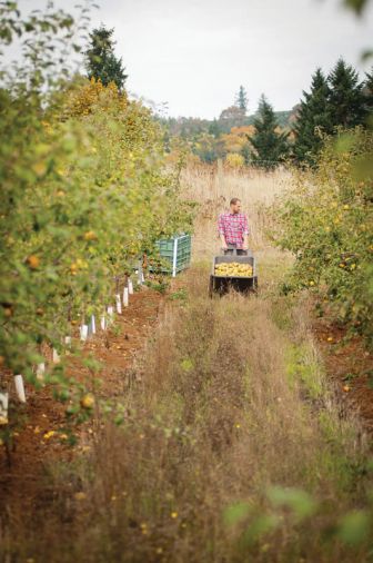 At the cidery, any employee can use a small system to create an experimental batch. If it turns out well, Wandering Aengus might ramp up production, transforming an experiment into a seasonal offering or limited-edition release.