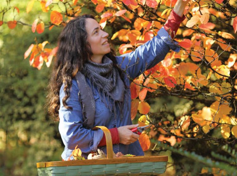 Portland Floral Designer Kailla Platt finds beauty in the simple, wild abundance of her grandmother’s garden and the fleeting colors of fall.  We talk with Kailla about her inspiration, her favorite fall flowers and foliage, and her recommendations for home gardeners who want to create their own seasonal arrangements.