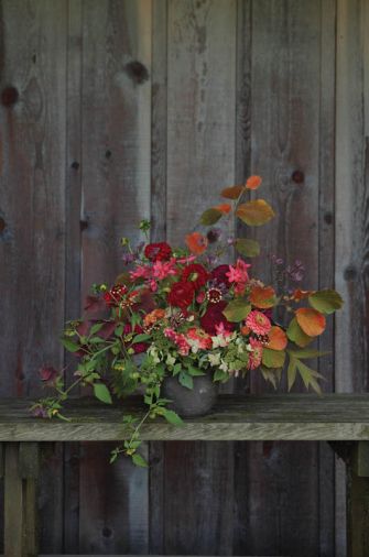 Try your hand at this fall floral arrangement designed by Kailla Platt. The bloom and stem counts are detailed here: 5 Dahlia ‘Cornell,’ 5 Dahlia ‘Jason Matthew,’ 5 Tricyrtis, 5 Schizostylis coccinea, 2 Hamamelis foliage, 2 Purple Leaved Grape foliage, 2 Tomatillo foliage and fruit, 5 Scented Geranium foliage, 5 Zinnia ‘Benary’s Salmon,’ 3 Aronia foliage, 7 Gomphrena, 6 Zinnia ‘Persian Carpet,’ 2 Lacecap Hydrangea, 1 Tree Peony leaf.