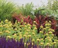 Vibrant plants like salvia and barberry contrast strikingly against the soft grey of Puget Sound.