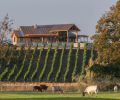 The Kriselle Cellars tasting room sits on the highest hill on the property. At Folin Cellars in Gold Hill, visitors overlook Sam’s Valley.