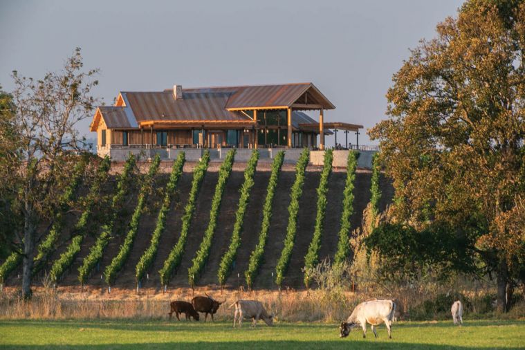 The Kriselle Cellars tasting room sits on the highest hill on the property. At Folin Cellars in Gold Hill, visitors overlook Sam’s Valley.