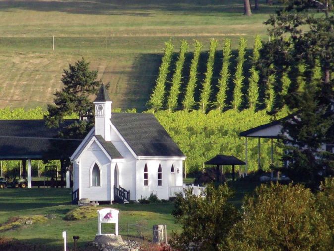 Taste wine at San Juan Vineyards.