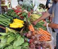 Graze at the San Juan Island Farmers Market.