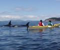 Paddle to secret coves with Crystal Seas Kayaking.