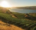 Maryhill Winery in the Columbia Gorge.