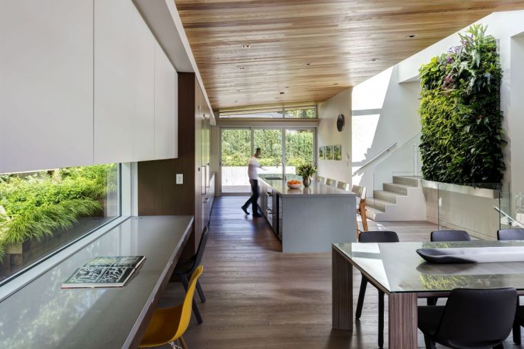 To create an open great room effect, Werner designed one long space inclusive of kitchen, dining and living room, with the kitchen bordered by a living green wall and illuminated by a custom skylight.