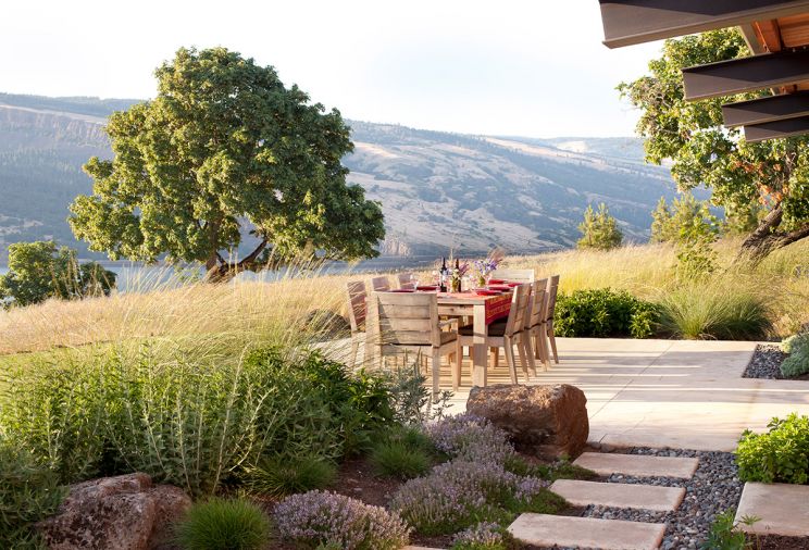 The west patio faces the river, making it the perfect place to host summer gatherings or watch raptors ride the updraft off the water. Beyond, the curved forms of the syncline, a famous Washington landmark, reference the many millennia of geologic forces that have shaped the Columbia River Gorge. A lawn behind the patio offers a place for overflow seating. Plants have to be tough to thrive here, like Perovskia atriplicofolia (Russian sage).